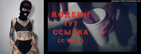 ГАЛЛЮЦИНОГЕННЫЕ ГРИБЫ Ладушкин