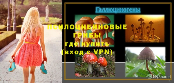 ГАЛЛЮЦИНОГЕННЫЕ ГРИБЫ Ладушкин