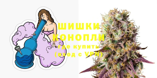 ГАЛЛЮЦИНОГЕННЫЕ ГРИБЫ Ладушкин