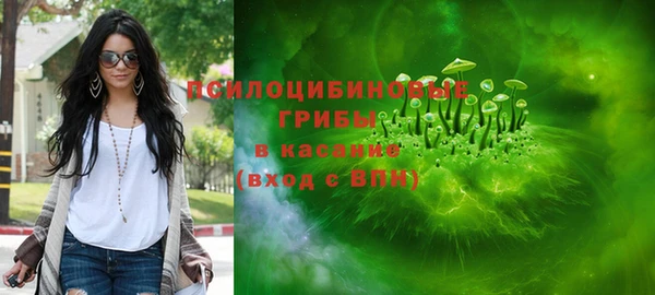 ГАЛЛЮЦИНОГЕННЫЕ ГРИБЫ Ладушкин