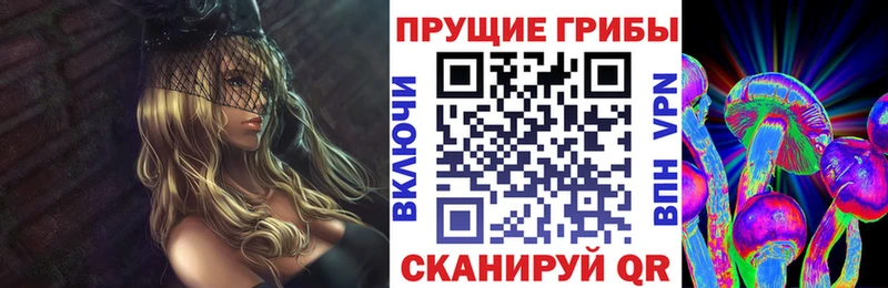 kraken ССЫЛКА Каргат Псилоцибиновые грибы MAGIC MUSHROOMS